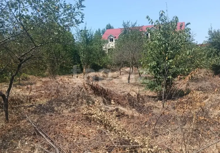 0 m² Obyekt / Ofis , Quba
