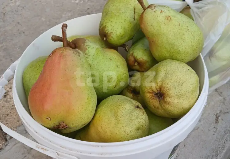 4 otaqlı mənzil , İsmayıllı