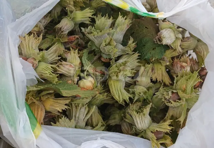 4 otaqlı mənzil , İsmayıllı