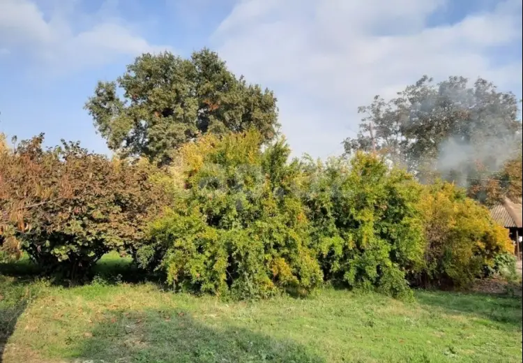 4 otaqlı mənzil , Şəki