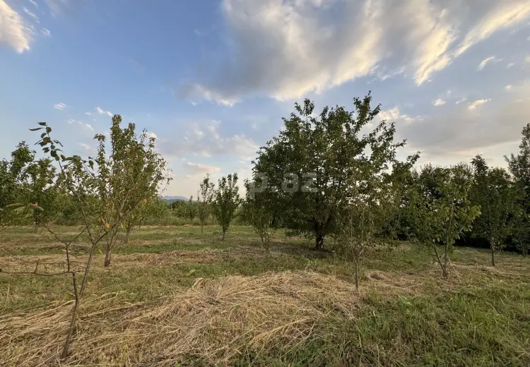 0 m² Obyekt / Ofis , Quba
