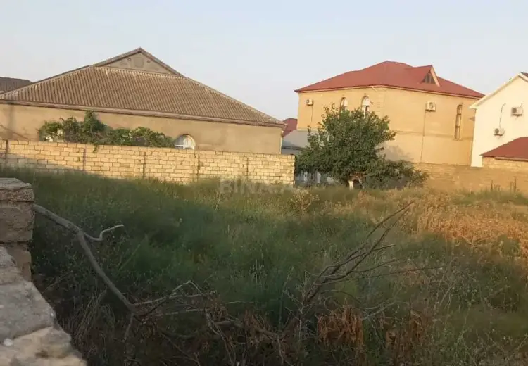 10 sot Torpaq Satılır, Saray, Abşeron