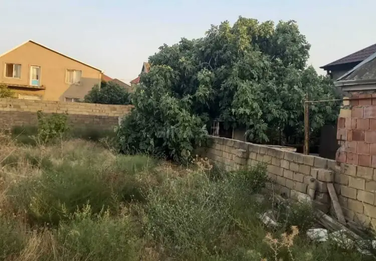 10 sot Torpaq Satılır, Saray, Abşeron