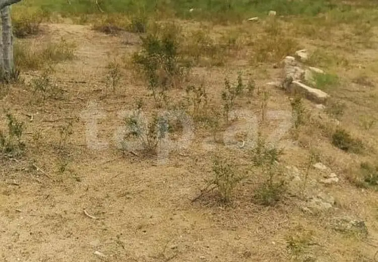 0 m² Obyekt / Ofis , Nardaran qəs., Sabunçu, Bakı