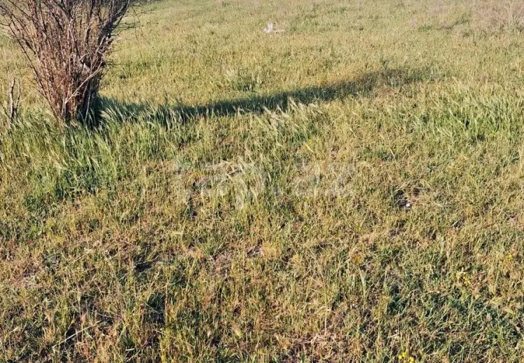 0 m² Obyekt / Ofis , Nardaran qəs., Sabunçu, Bakı