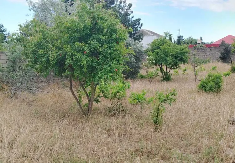 3 sot Torpaq Satılır, Bilgəh qəs., Sabunçu, Bakı
