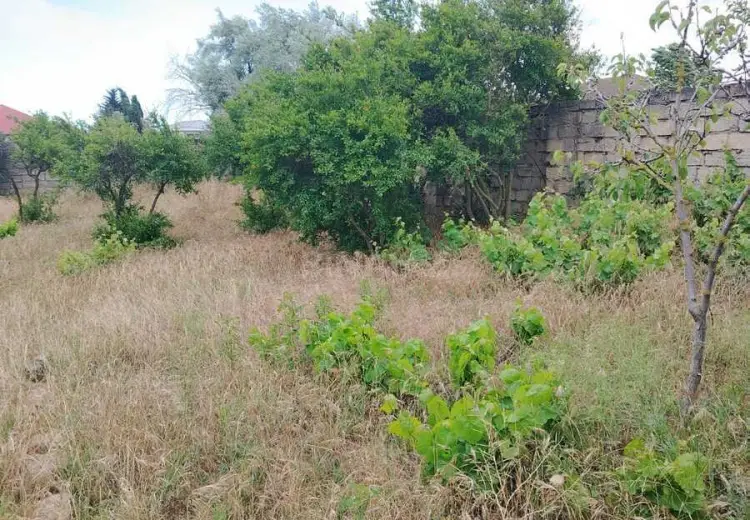 3 sot Torpaq Satılır, Bilgəh qəs., Sabunçu, Bakı