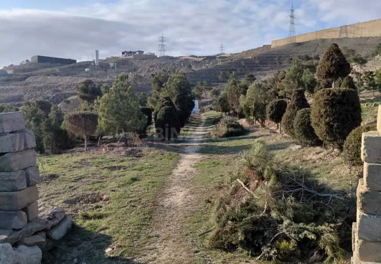 12 sot Torpaq Satılır, Şıxov qəs., Səbail, Bakı