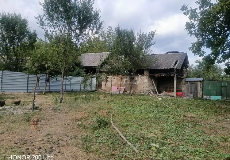0 m² Obyekt / Ofis , Qəbələ