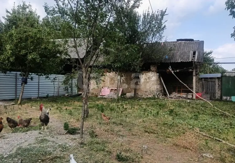 0 m² Obyekt / Ofis , Qəbələ