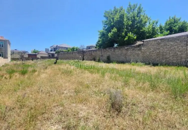 5.5 sot Torpaq Satılır, Saray, Abşeron