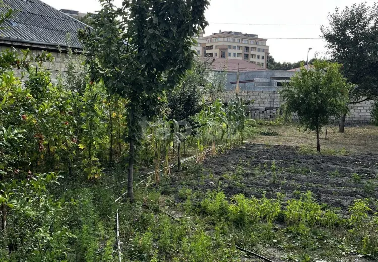 0 m² Obyekt / Ofis , İsmayıllı