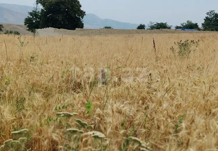 0 m² Obyekt / Ofis , Göygöl