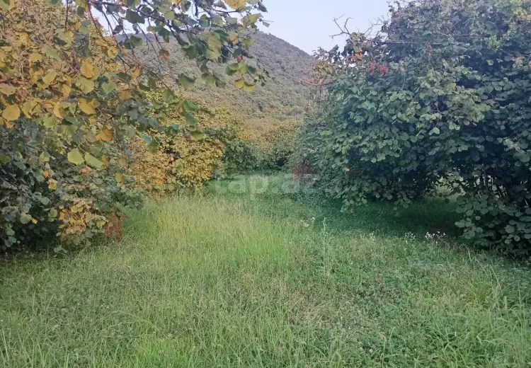 0 m² Obyekt / Ofis , Zaqatala