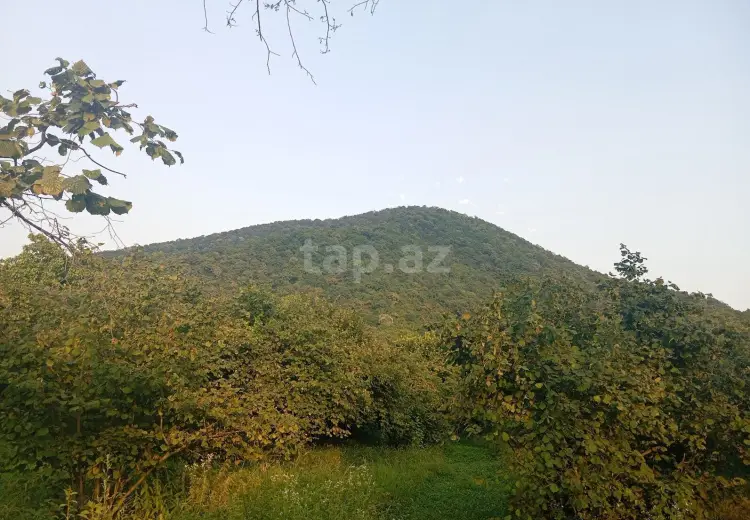 0 m² Obyekt / Ofis , Zaqatala