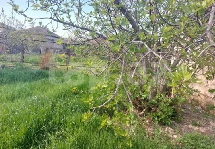 3 otaqlı mənzil , Xaçmaz