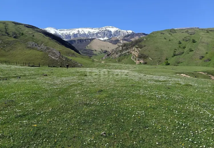 0 m² Obyekt / Ofis , Bakı