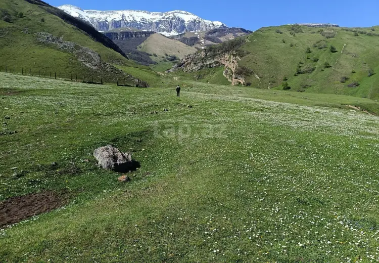 0 m² Obyekt / Ofis , Bakı