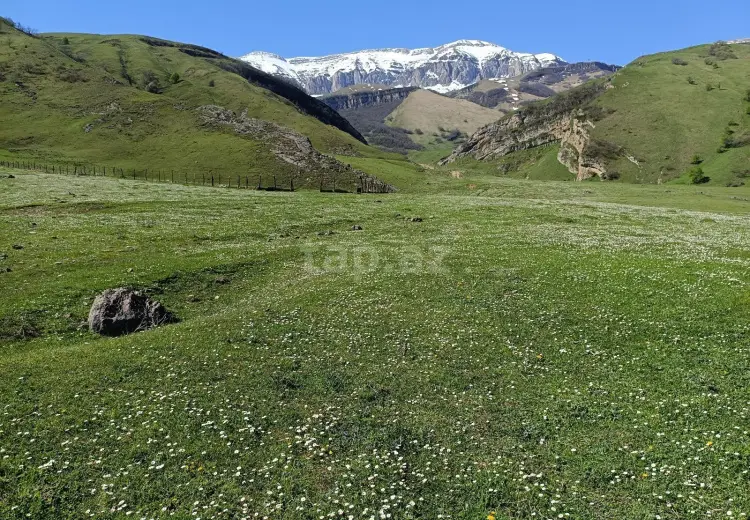 0 m² Obyekt / Ofis , Bakı