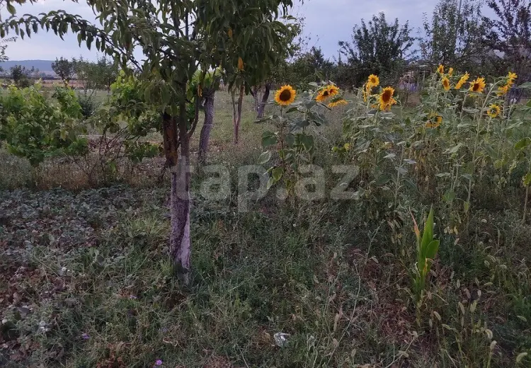 4 otaqlı mənzil , İsmayıllı