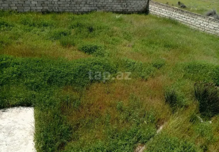 0 m² Obyekt / Ofis , Bakı