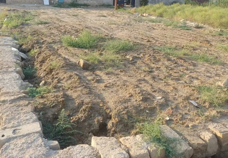 2 sot Torpaq Satılır, Digah, Abşeron
