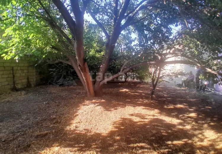 0 m² Obyekt / Ofis , Sumqayıt