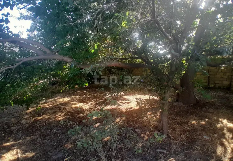 0 m² Obyekt / Ofis , Sumqayıt