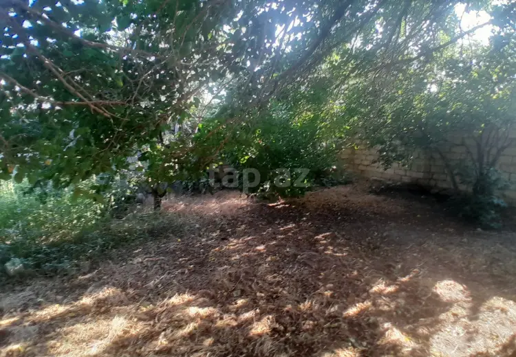 0 m² Obyekt / Ofis , Sumqayıt