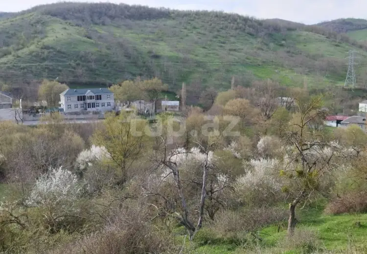 0 m² Obyekt / Ofis , Quba