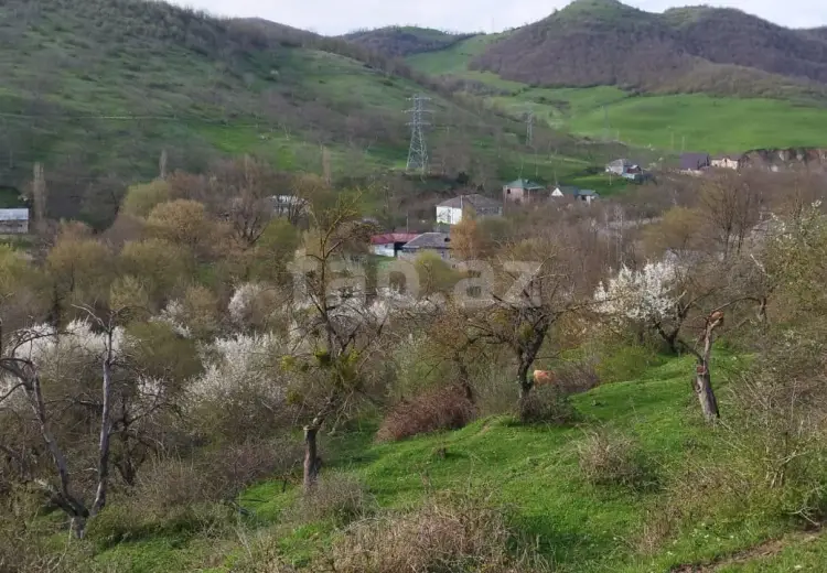 0 m² Obyekt / Ofis , Quba