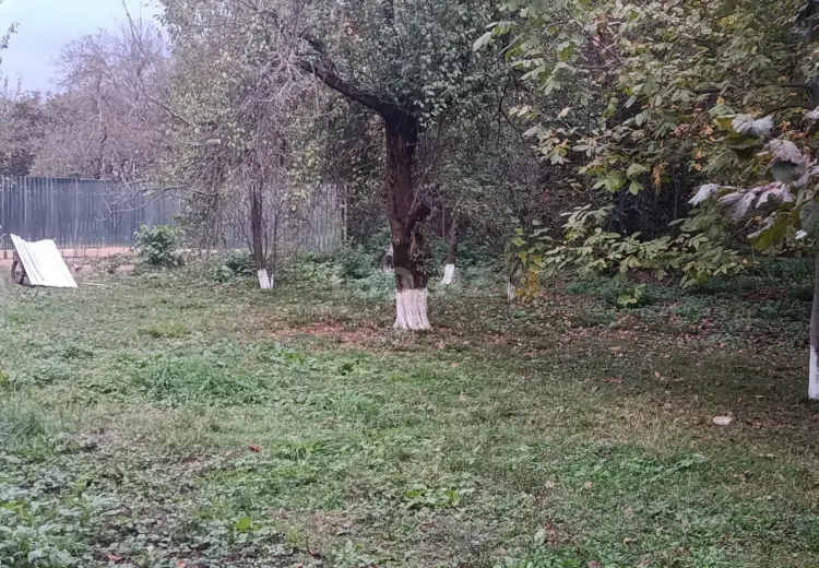 0 m² Obyekt / Ofis , Bakı