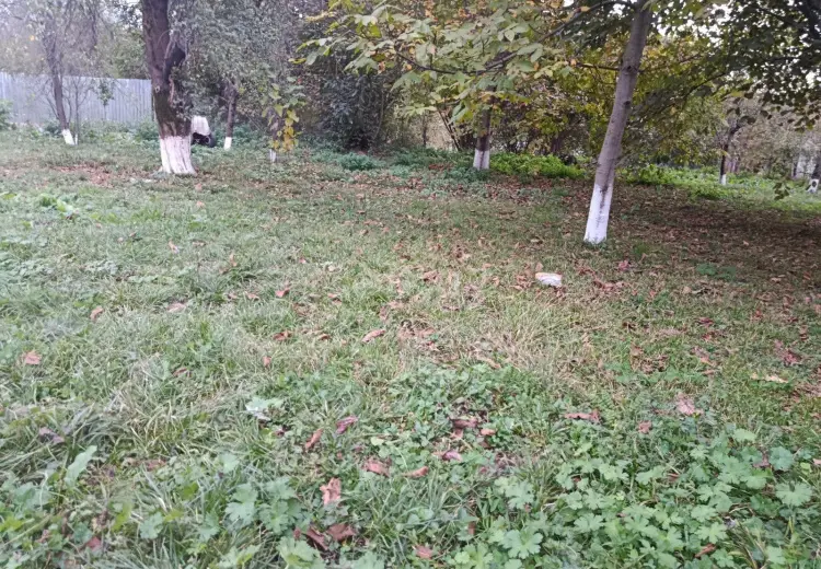 0 m² Obyekt / Ofis , Bakı