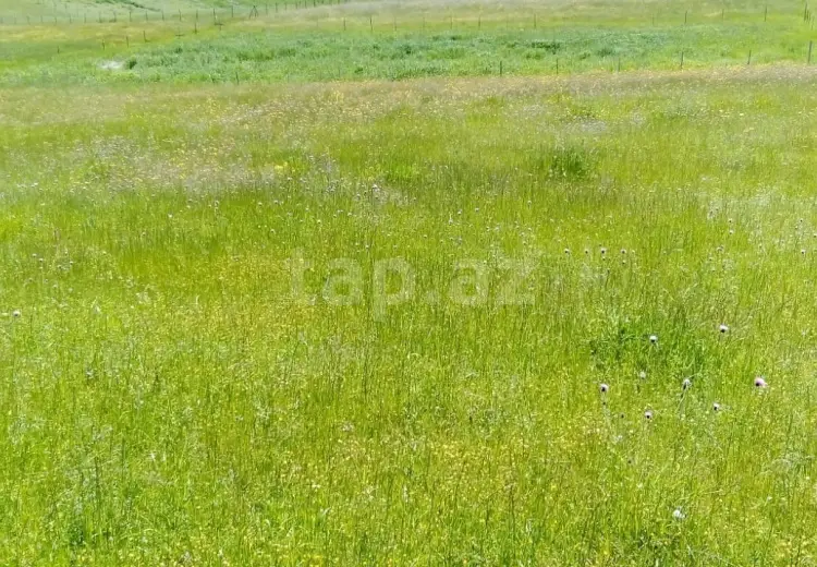 0 m² Obyekt / Ofis , Qusar
