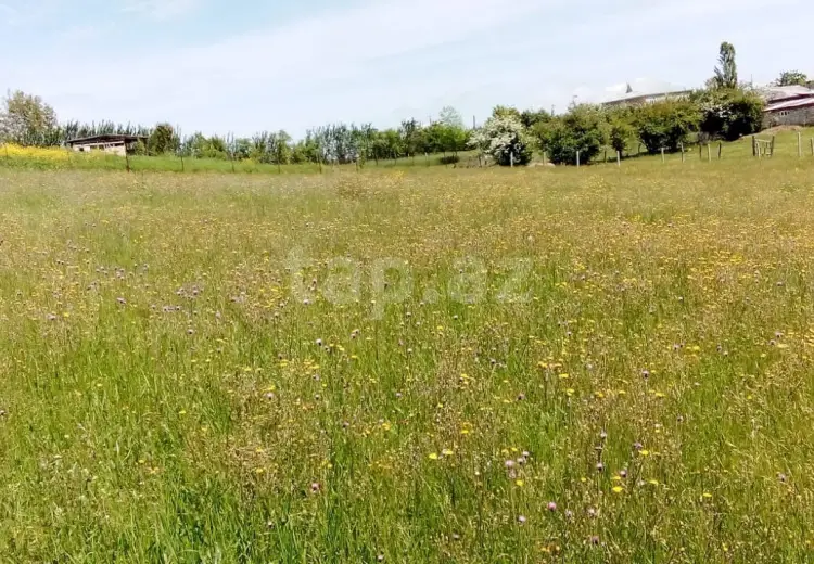 0 m² Obyekt / Ofis , Qusar