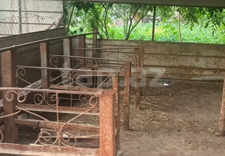 5 otaqlı mənzil , Şəmkir