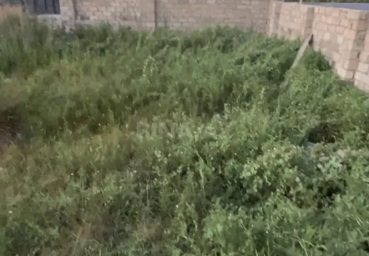 8 sot Torpaq Satılır, Buzovna, Xəzər, Bakı