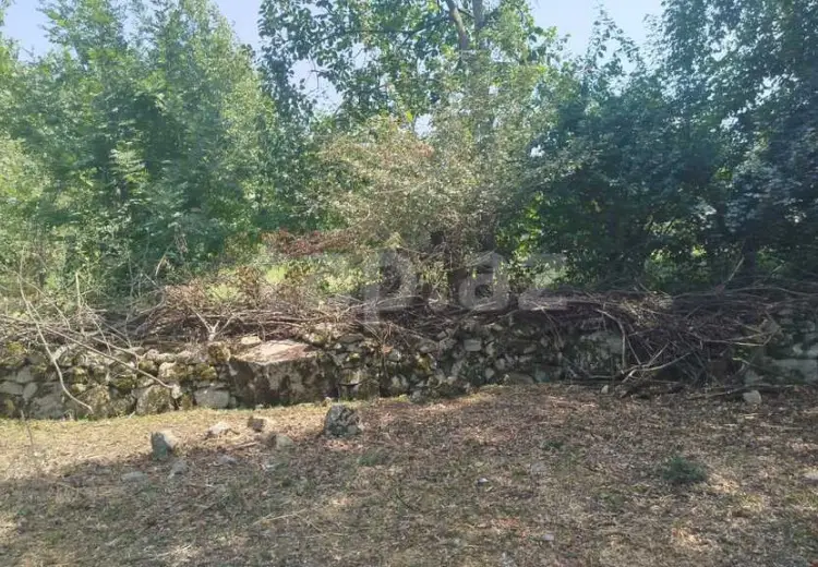0 m² Obyekt / Ofis , İsmayıllı