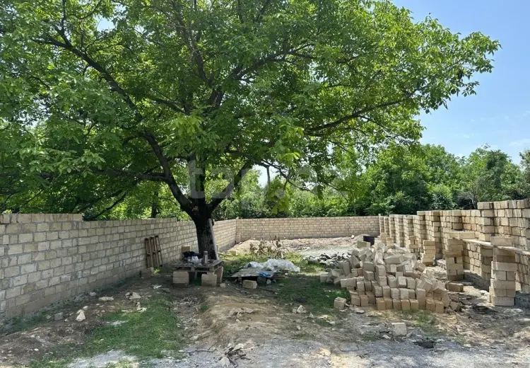 0 m² Obyekt / Ofis , Qəbələ
