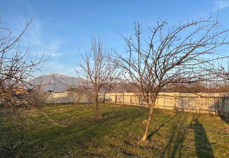 0 m² Obyekt / Ofis , Qəbələ