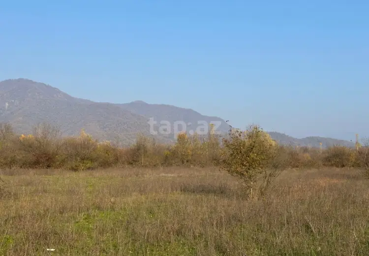 0 m² Obyekt / Ofis , Qəbələ