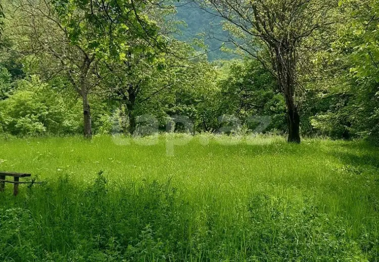 0 m² Obyekt / Ofis , Zaqatala