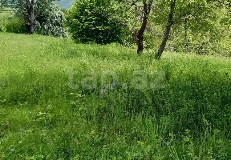 0 m² Obyekt / Ofis , Zaqatala