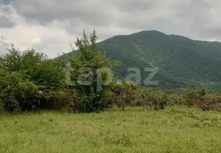 0 m² Obyekt / Ofis , Zaqatala