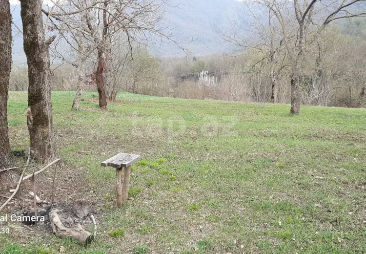 0 m² Obyekt / Ofis , Zaqatala