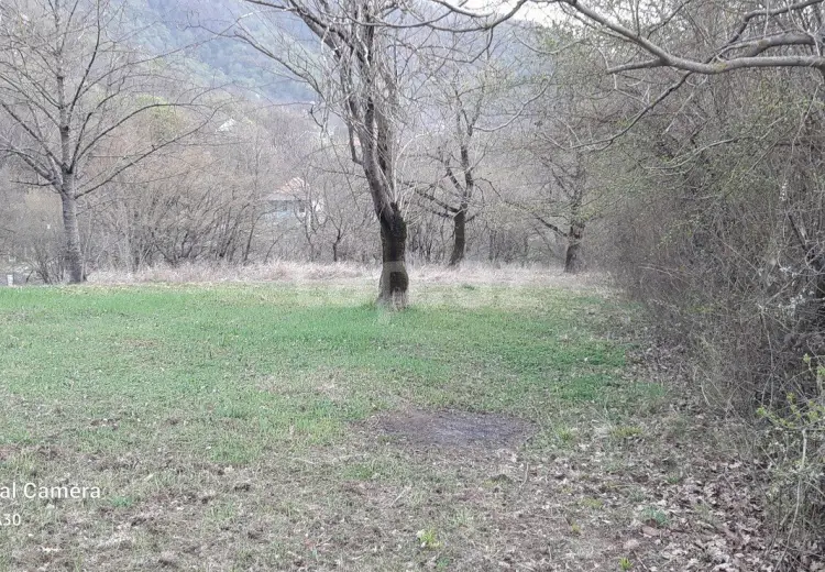 0 m² Obyekt / Ofis , Zaqatala