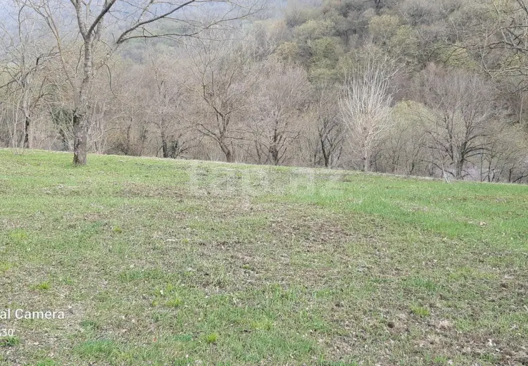 0 m² Obyekt / Ofis , Zaqatala