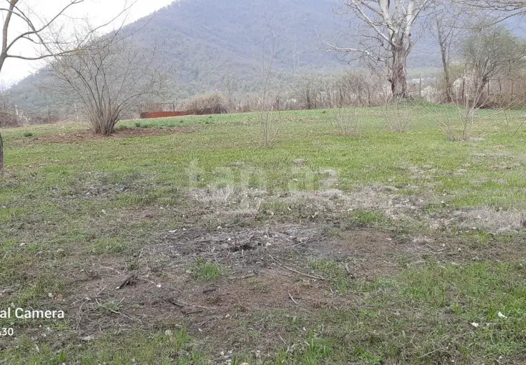 0 m² Obyekt / Ofis , Zaqatala