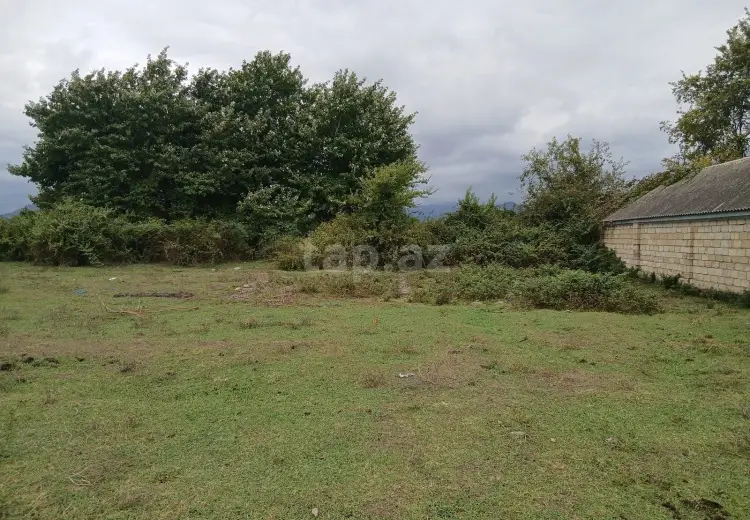 0 m² Obyekt / Ofis , Astara