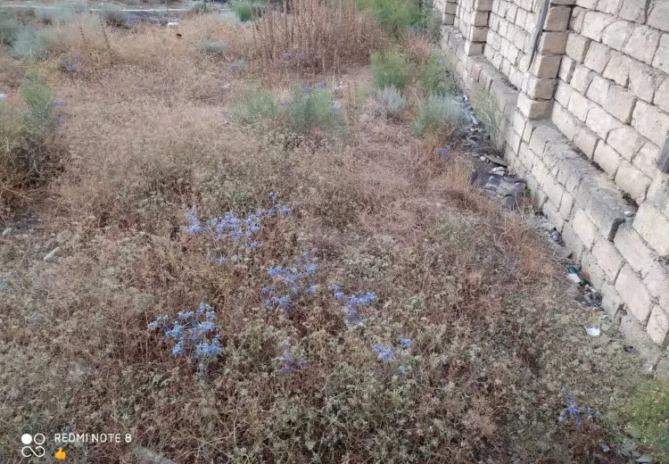 3.3 sot Torpaq Satılır, Badamdar qəs., Səbail, Bakı